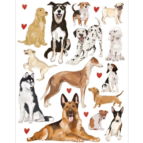 dogs_packshot.webp