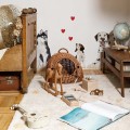 dogs_visual.jpg