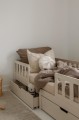 image00036.jpeg