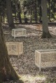 Pure_lifestyle_forest_5.jpg