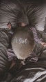 ddd688caaf09f749d032f42ad057dbfe