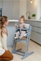 pol_pm_Krzeselko-do-karmienia-Baby-Dan-DANCHAIR-szare-4079_2.jpg