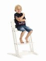 pol_pm_Krzeselko-do-karmienia-Baby-Dan-DANCHAIR-biale-254_2.jpg