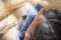 pol_pm_BABYBJORN-lezaczek-BLISS-COTTON-Petal-Quilt-Zgaszony-roz-9877_3.jpg